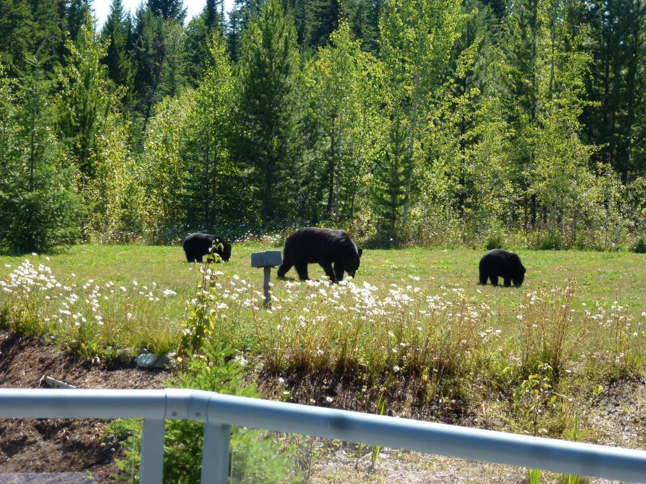 Little Black Bear Lodge/B&B Bridge Lake Екстериор снимка