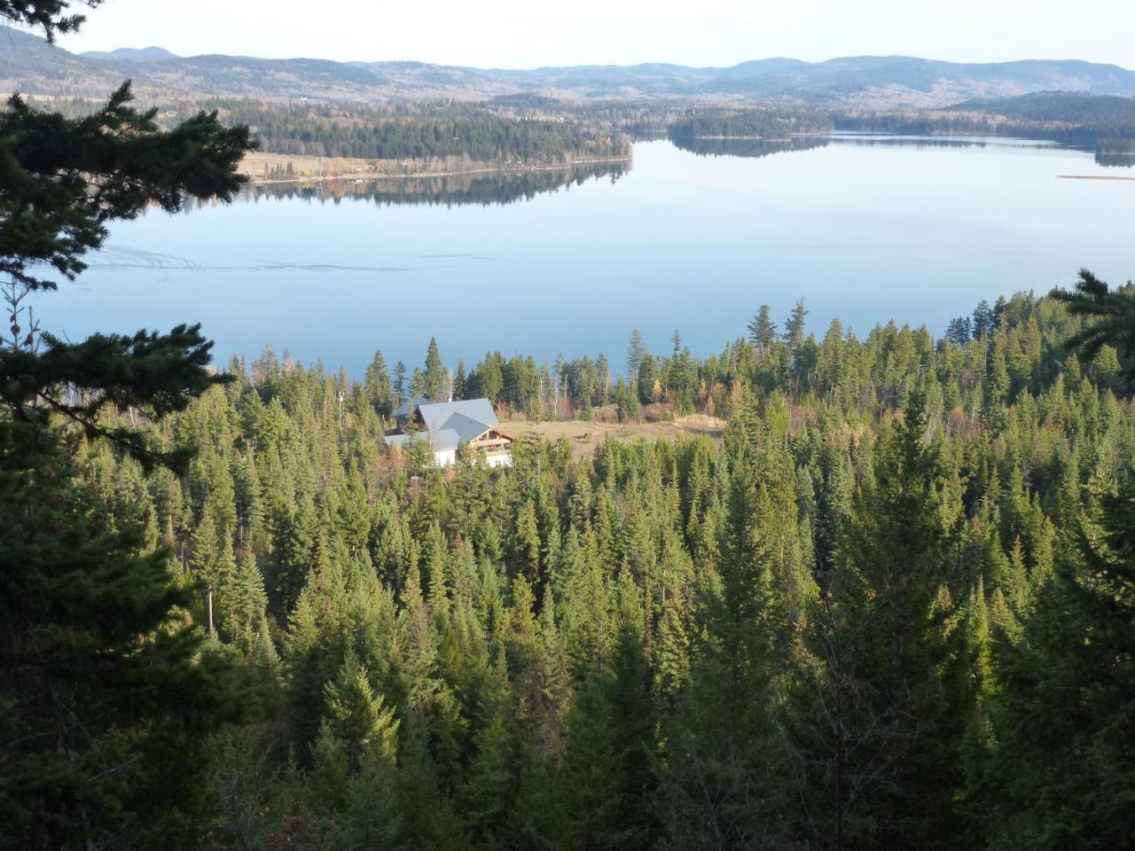 Little Black Bear Lodge/B&B Bridge Lake Екстериор снимка